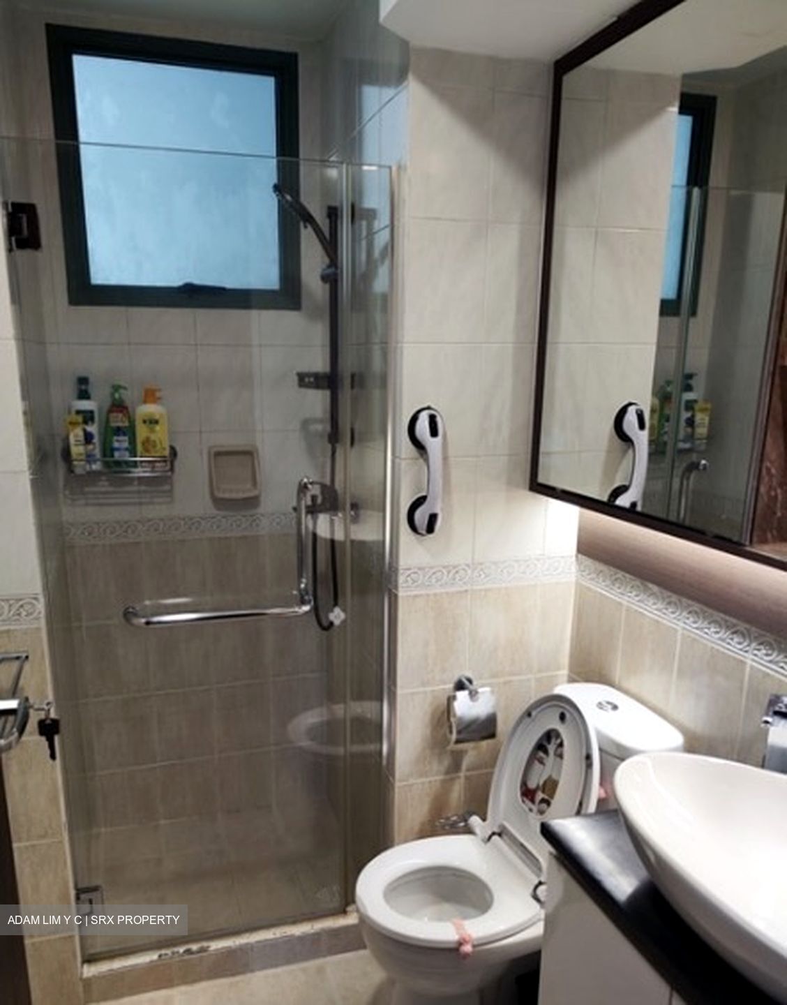 Palm Gardens (D23), Condominium #583001181